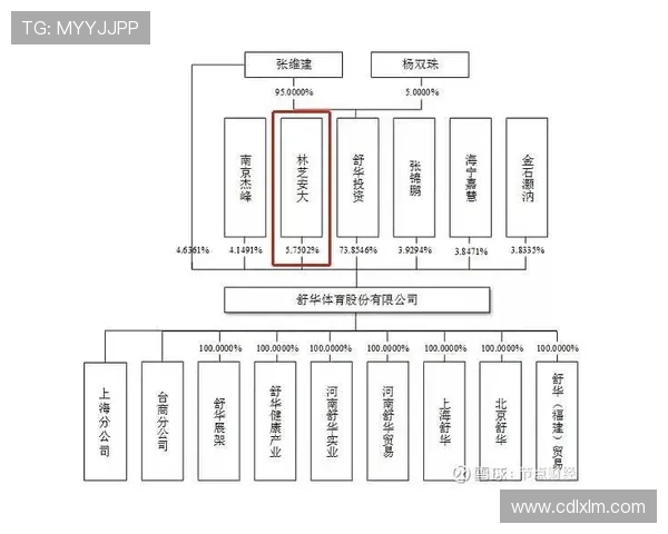 开云体育如何引领数字化转型与体育产业创新发展新趋势